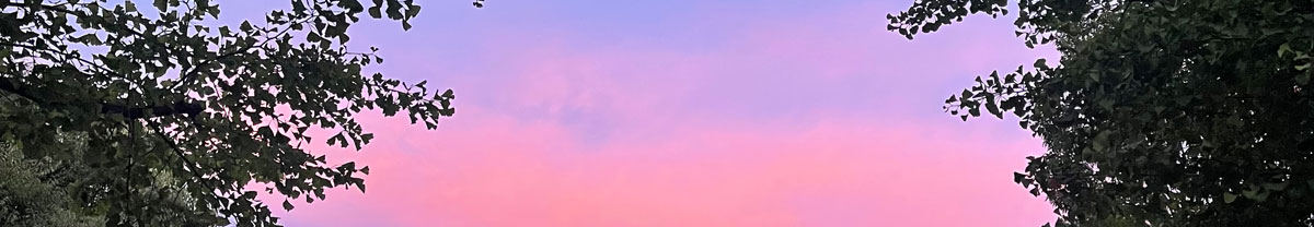 鬼嶋　愛